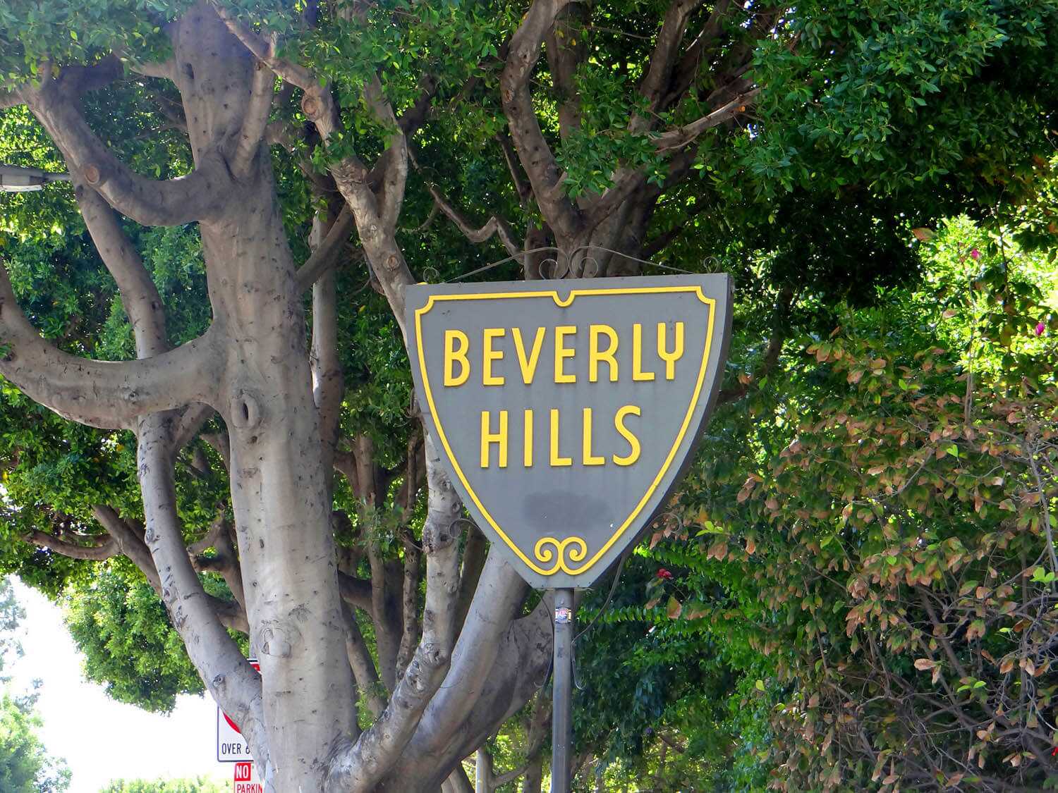 014-beverlysign_plus
