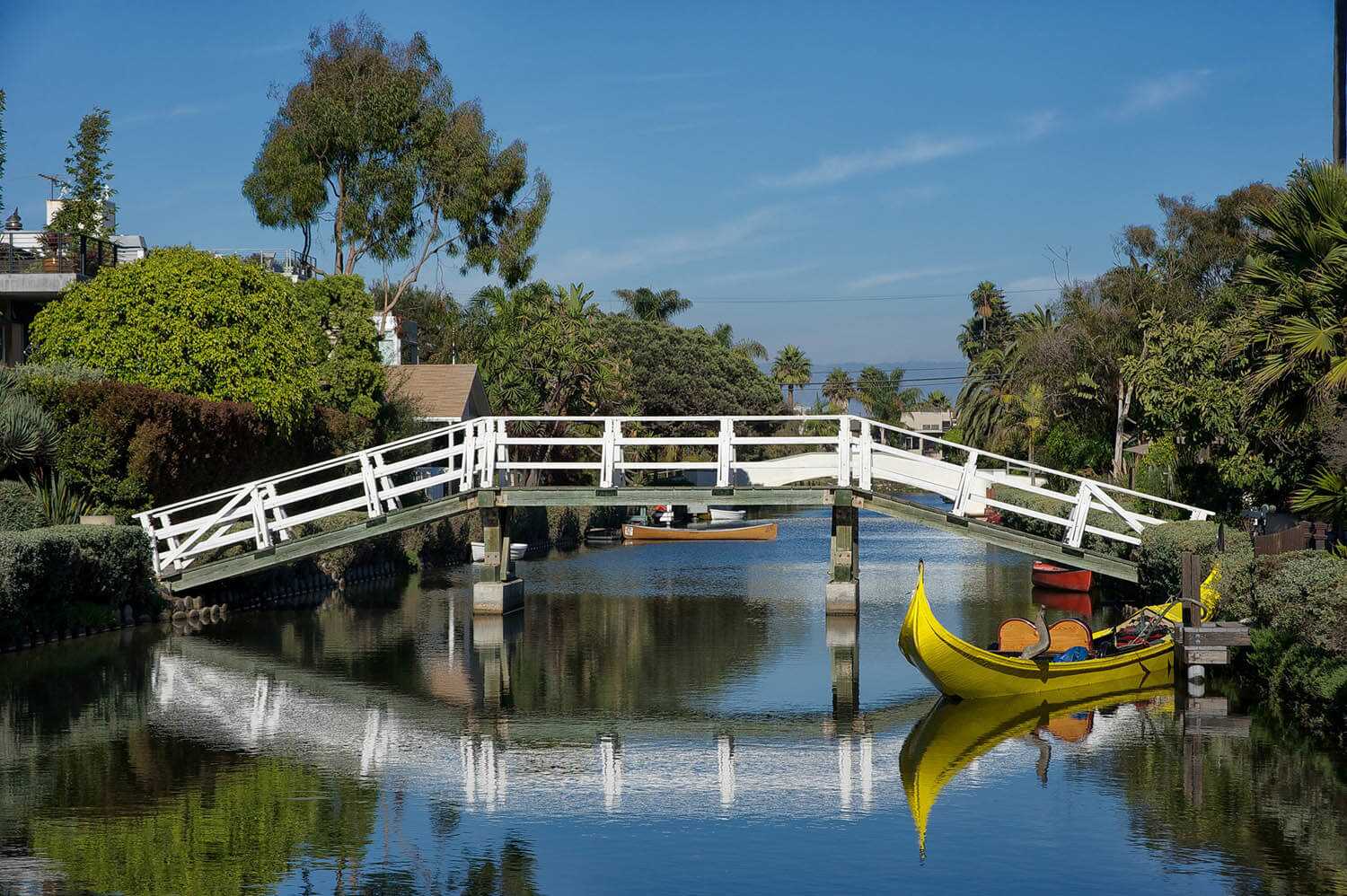 Venice Beach sightseeing tour: Santa Monica Tours